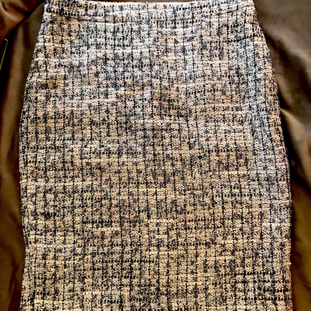 Ann Taylor Skirt